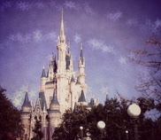 Walt Disney World Castle in Florida