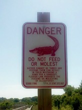 Alligator Danger Sign